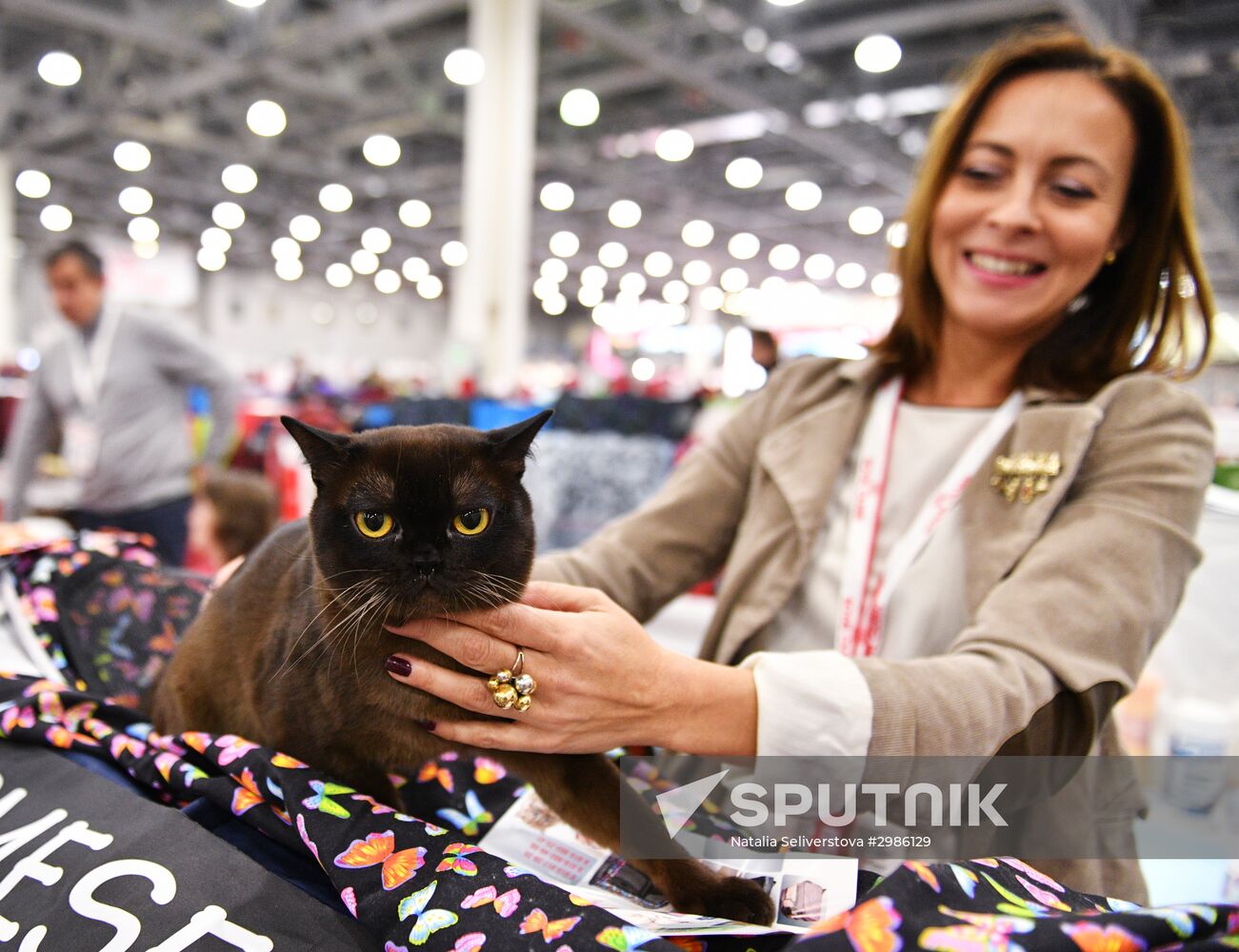 Cat exhibition Grand Prix Royal Canin in Moscow
