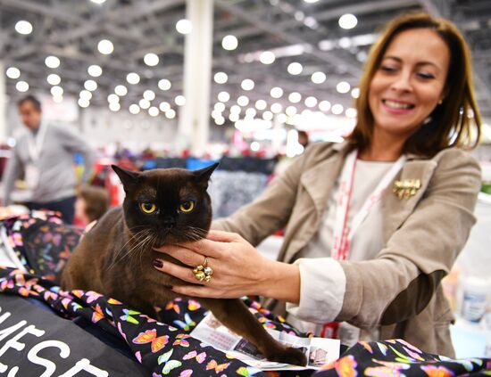 Cat exhibition Grand Prix Royal Canin in Moscow