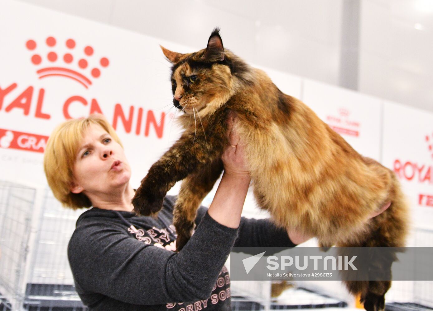 Cat exhibition Grand Prix Royal Canin in Moscow