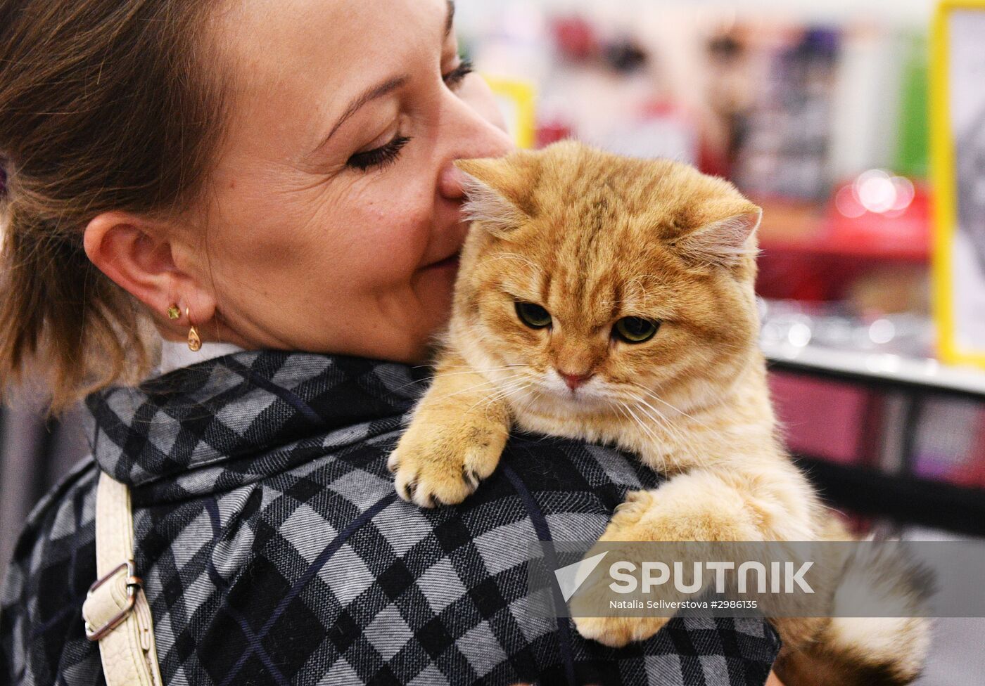 Cat exhibition Grand Prix Royal Canin in Moscow