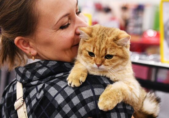 Cat exhibition Grand Prix Royal Canin in Moscow