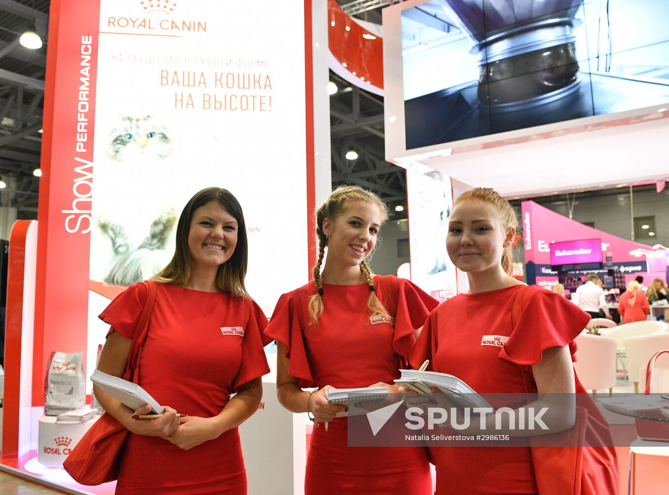 Cat exhibition Grand Prix Royal Canin in Moscow