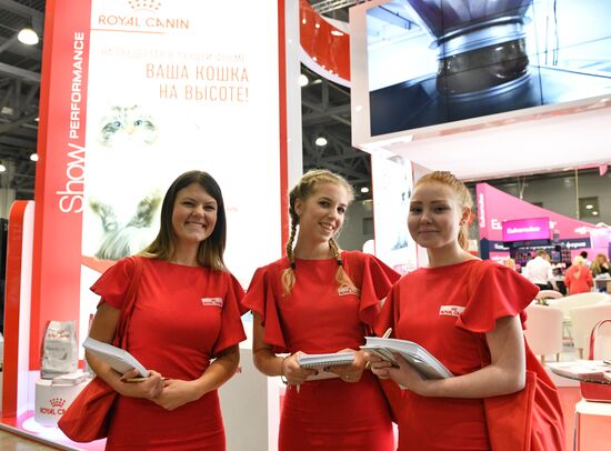 Cat exhibition Grand Prix Royal Canin in Moscow