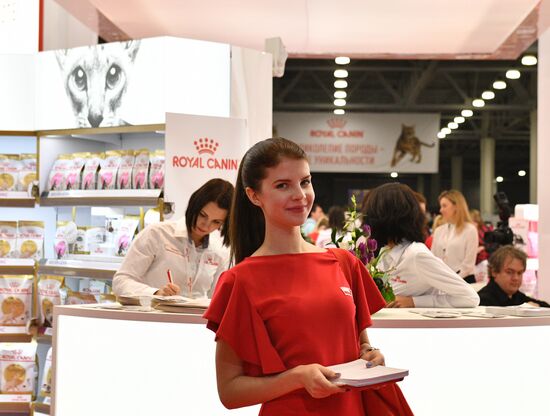 Cat exhibition Grand Prix Royal Canin in Moscow