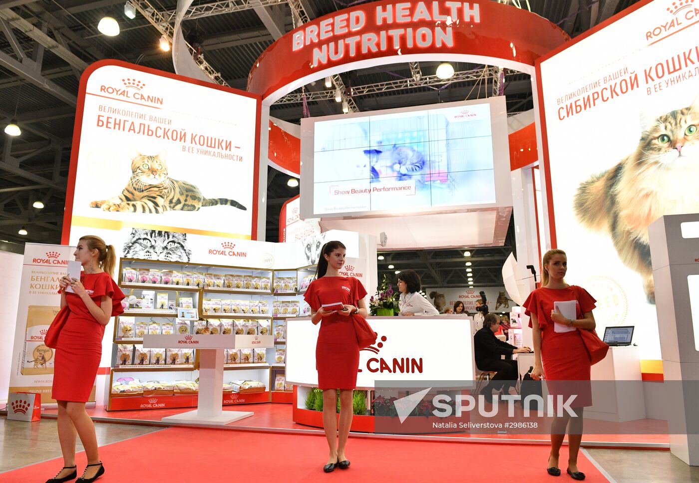 Cat exhibition Grand Prix Royal Canin in Moscow