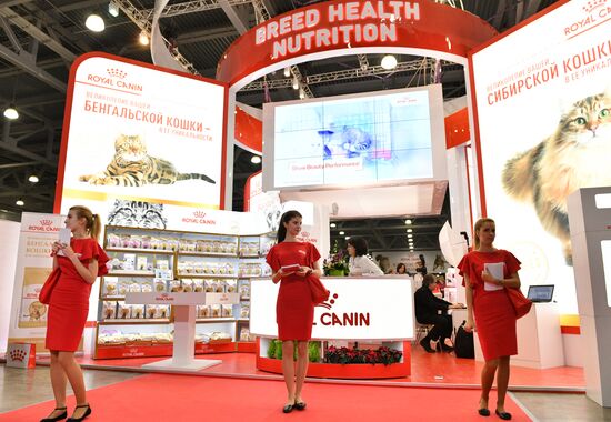 Cat exhibition Grand Prix Royal Canin in Moscow