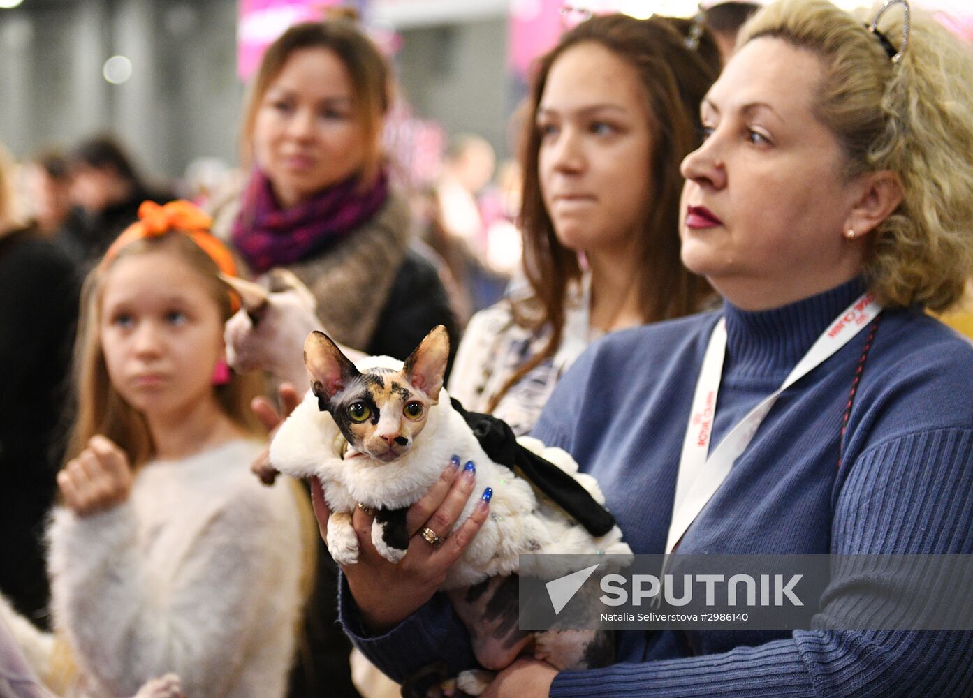 Cat exhibition Grand Prix Royal Canin in Moscow