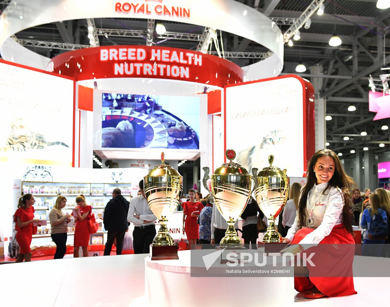 Cat exhibition Grand Prix Royal Canin in Moscow