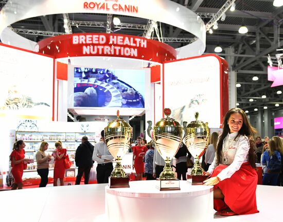 Cat exhibition Grand Prix Royal Canin in Moscow