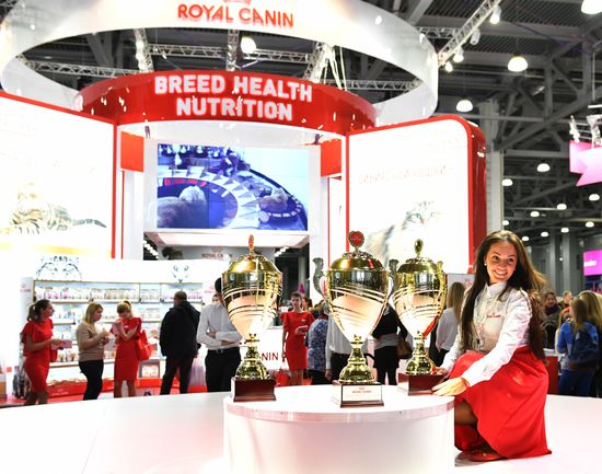 Cat exhibition Grand Prix Royal Canin in Moscow