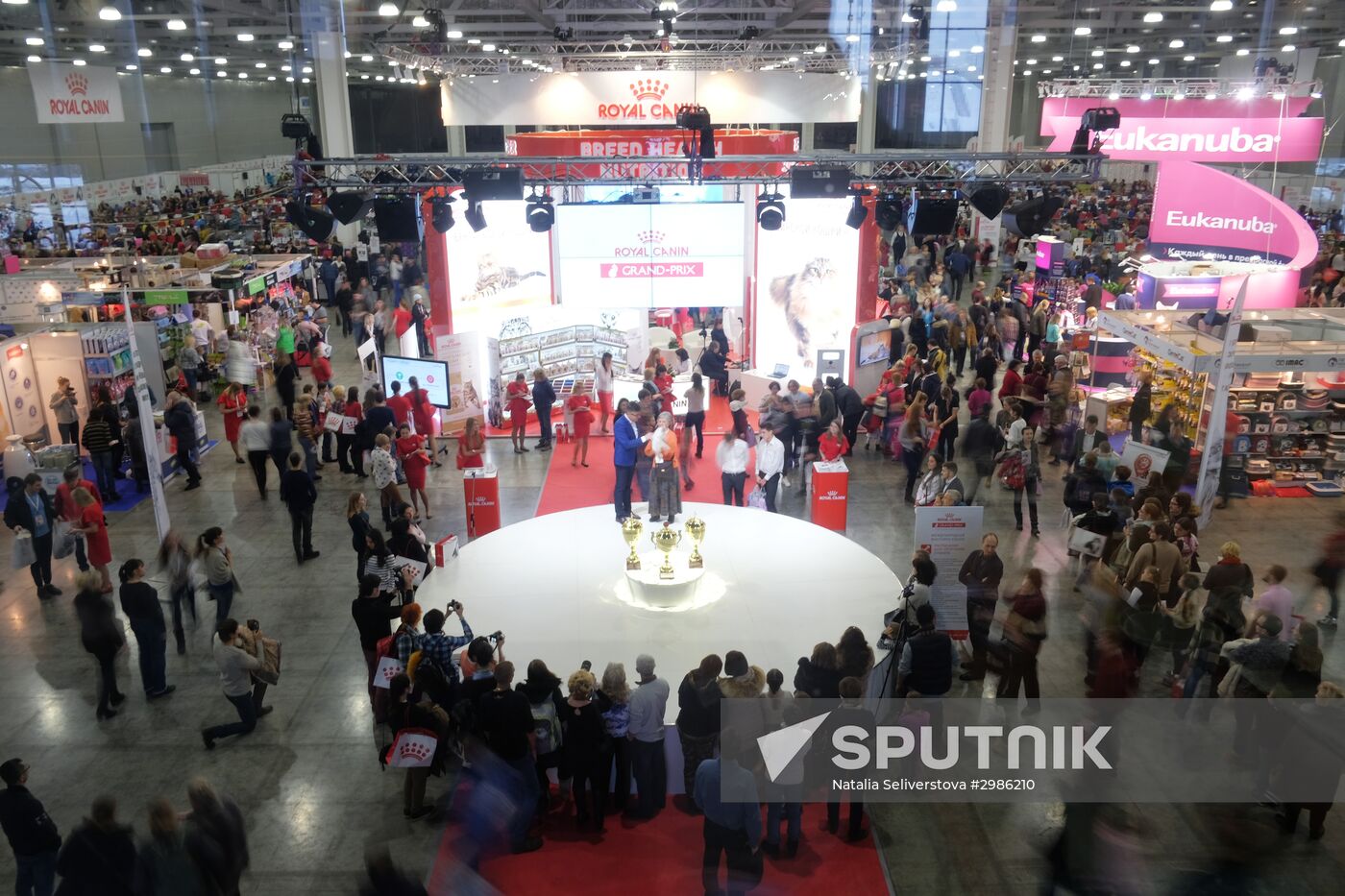Cat exhibition Grand Prix Royal Canin in Moscow