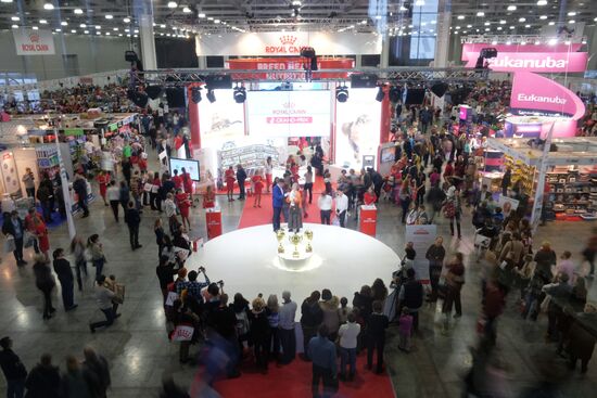 Cat exhibition Grand Prix Royal Canin in Moscow