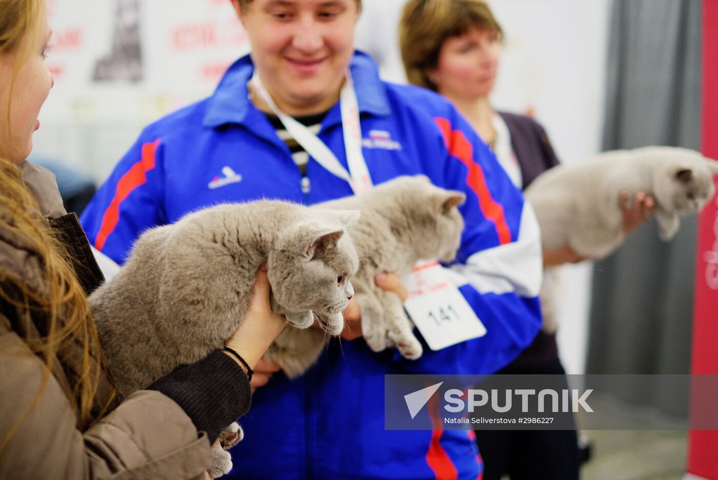Grand Prix Royal Canin cat show in Moscow