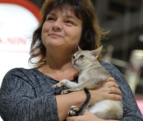 Grand Prix Royal Canin cat show in Moscow