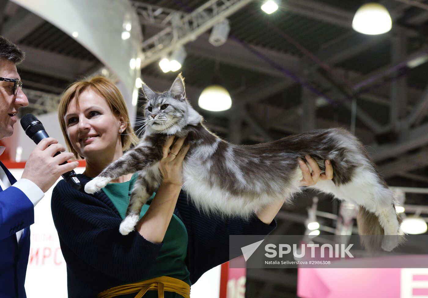 Grand Prix Royal Canin cat show in Moscow