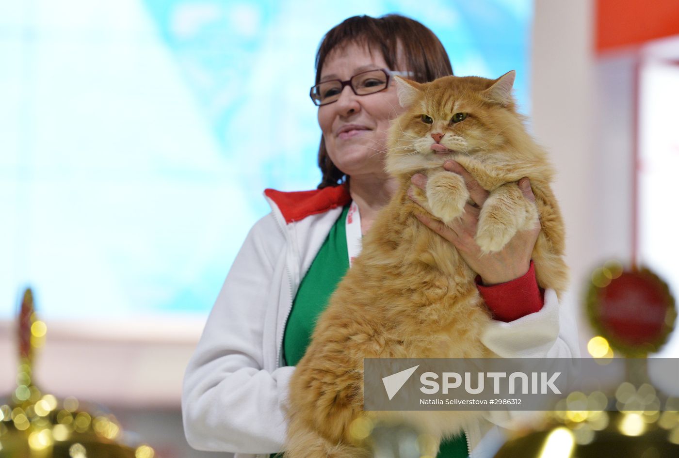 Grand Prix Royal Canin cat show in Moscow