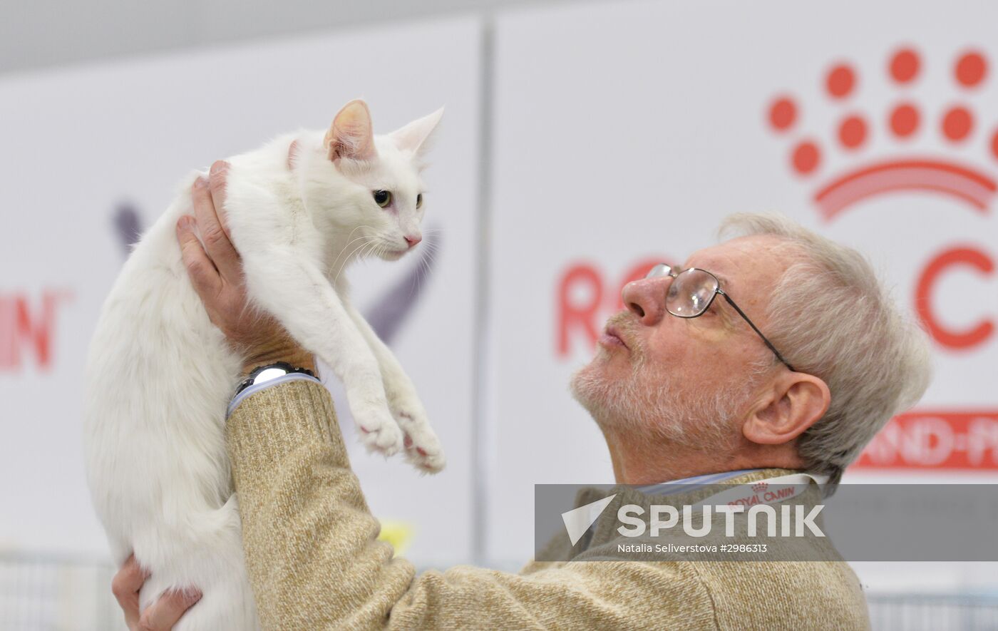 Grand Prix Royal Canin cat show in Moscow
