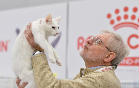 Grand Prix Royal Canin cat show in Moscow