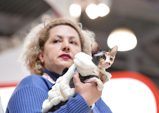 Grand Prix Royal Canin cat show in Moscow