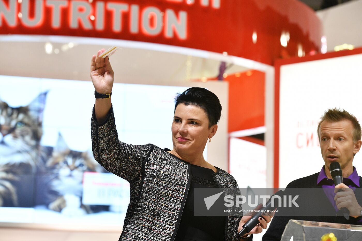 Grand Prix Royal Canin cat show in Moscow