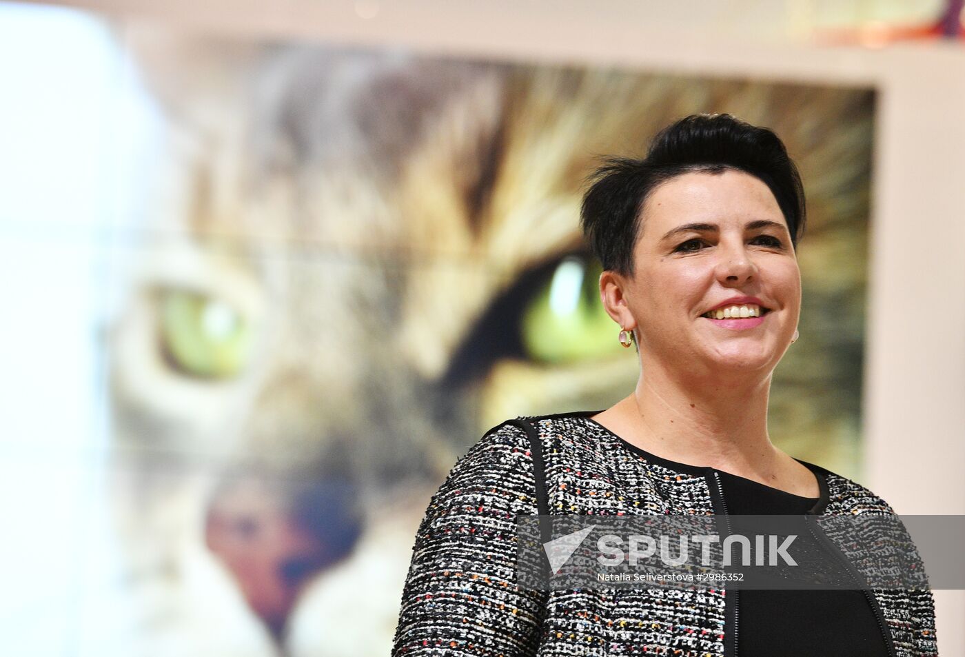 Grand Prix Royal Canin cat show in Moscow