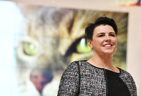 Grand Prix Royal Canin cat show in Moscow
