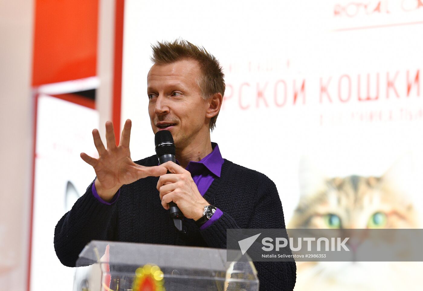 Grand Prix Royal Canin cat show in Moscow