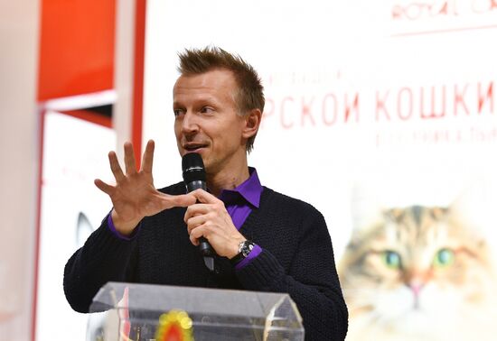 Grand Prix Royal Canin cat show in Moscow