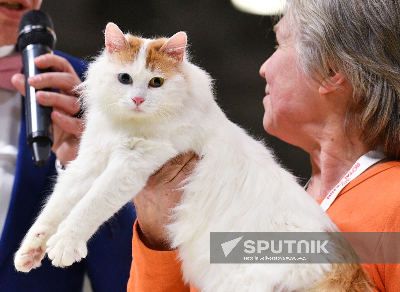 Grand Prix Royal Canin cat show in Moscow