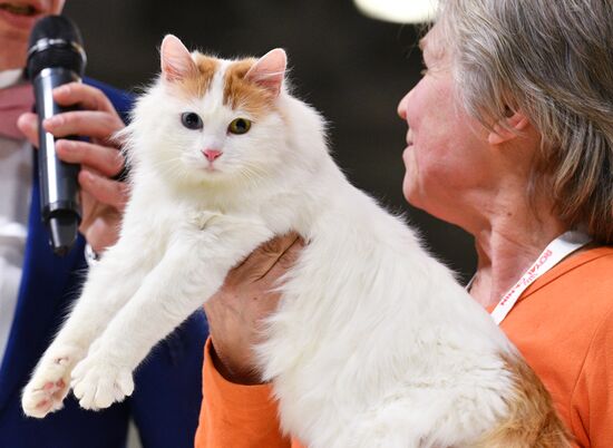 Grand Prix Royal Canin cat show in Moscow
