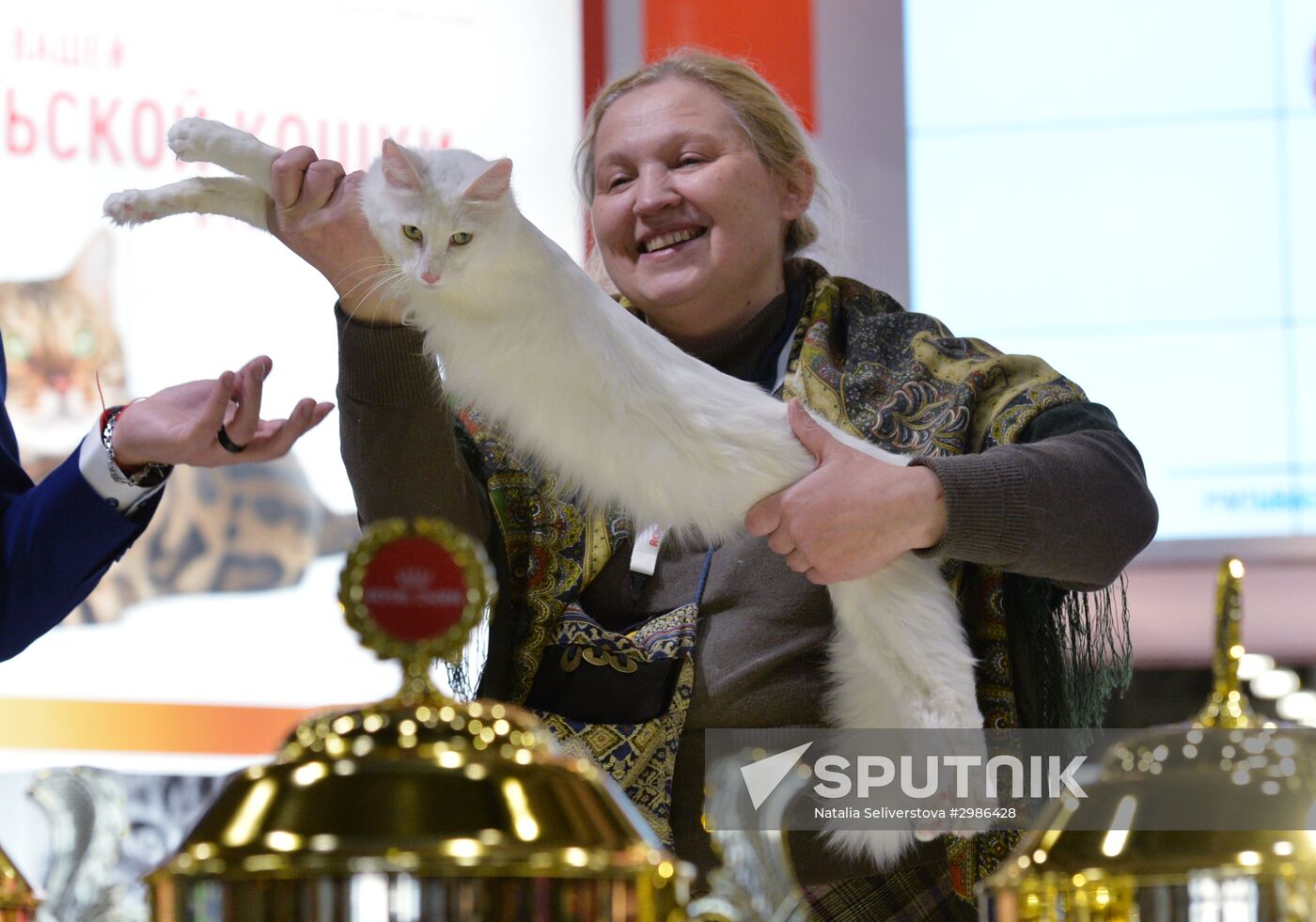 Grand Prix Royal Canin cat show in Moscow