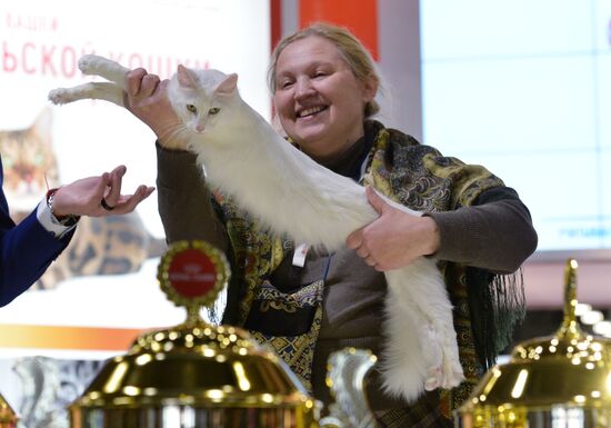 Grand Prix Royal Canin cat show in Moscow