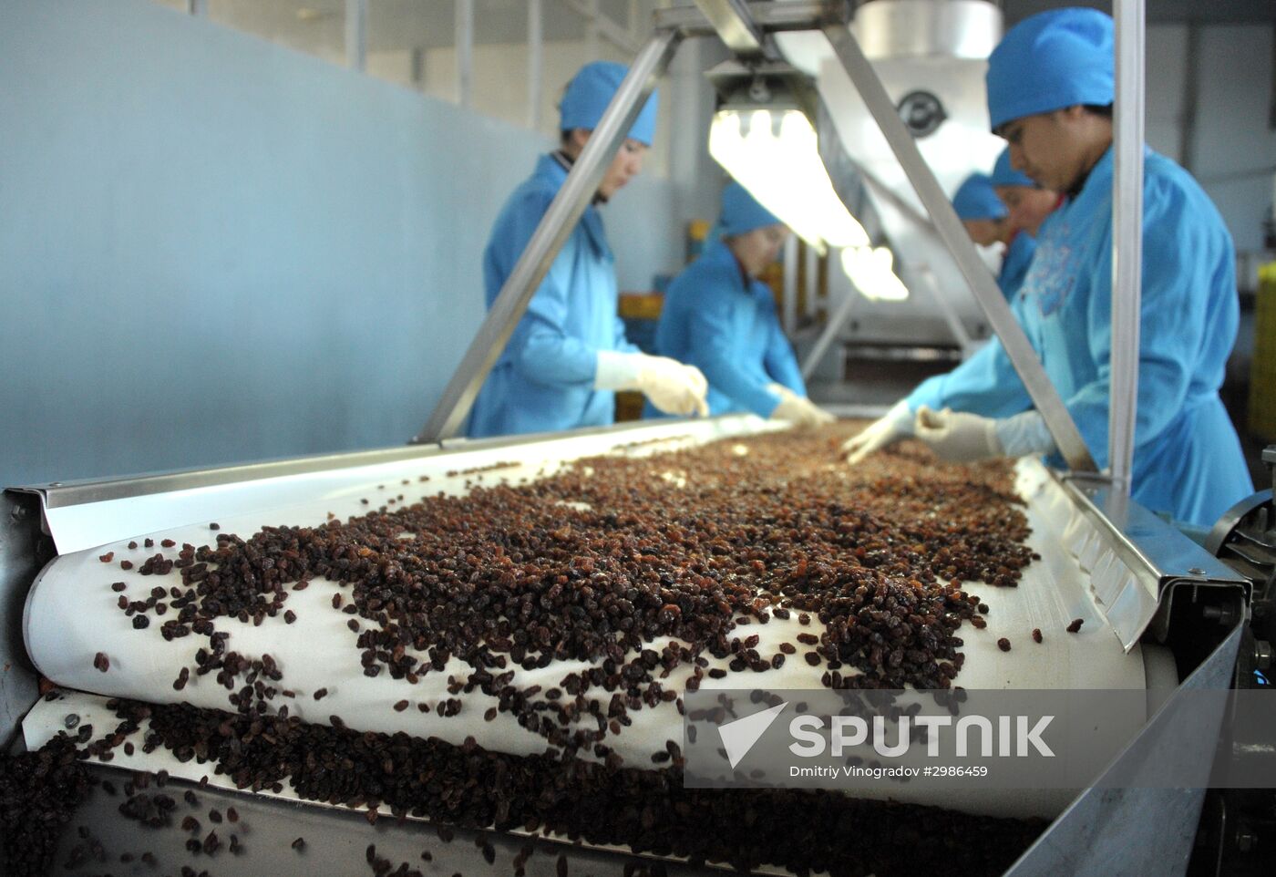 Samrin Trade dried fruit producer in Samarkand