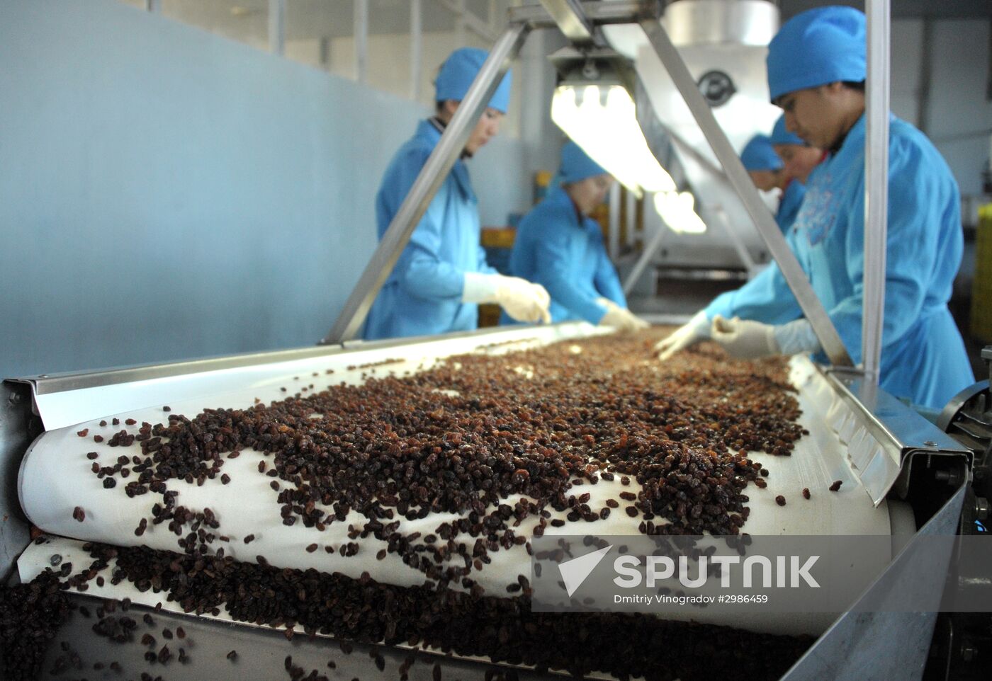 Samrin Trade dried fruit producer in Samarkand