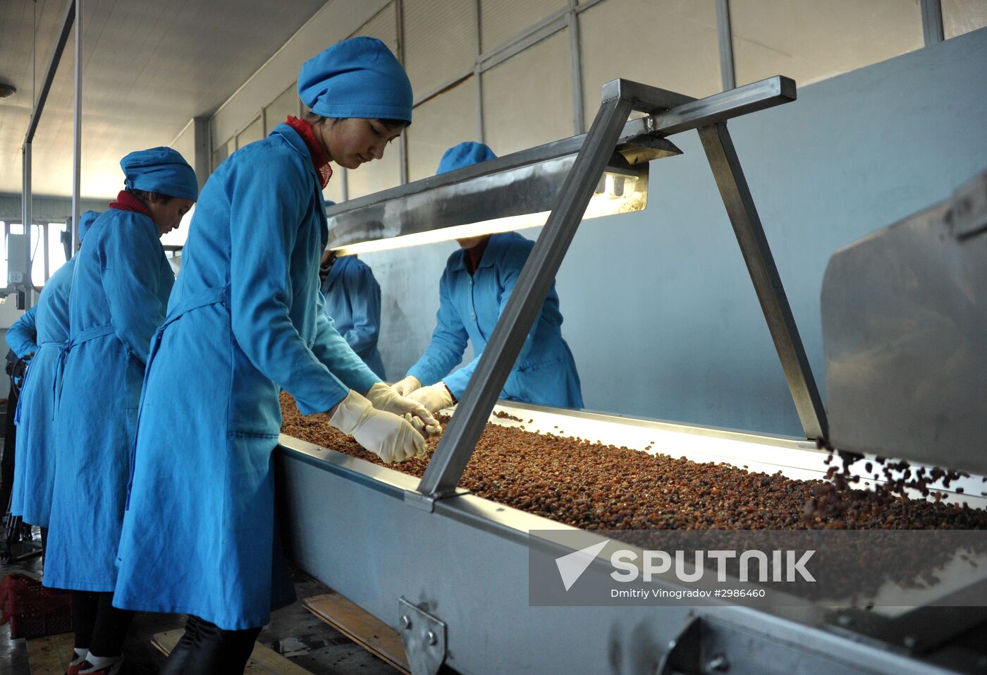 Samrin Trade dried fruit producer in Samarkand