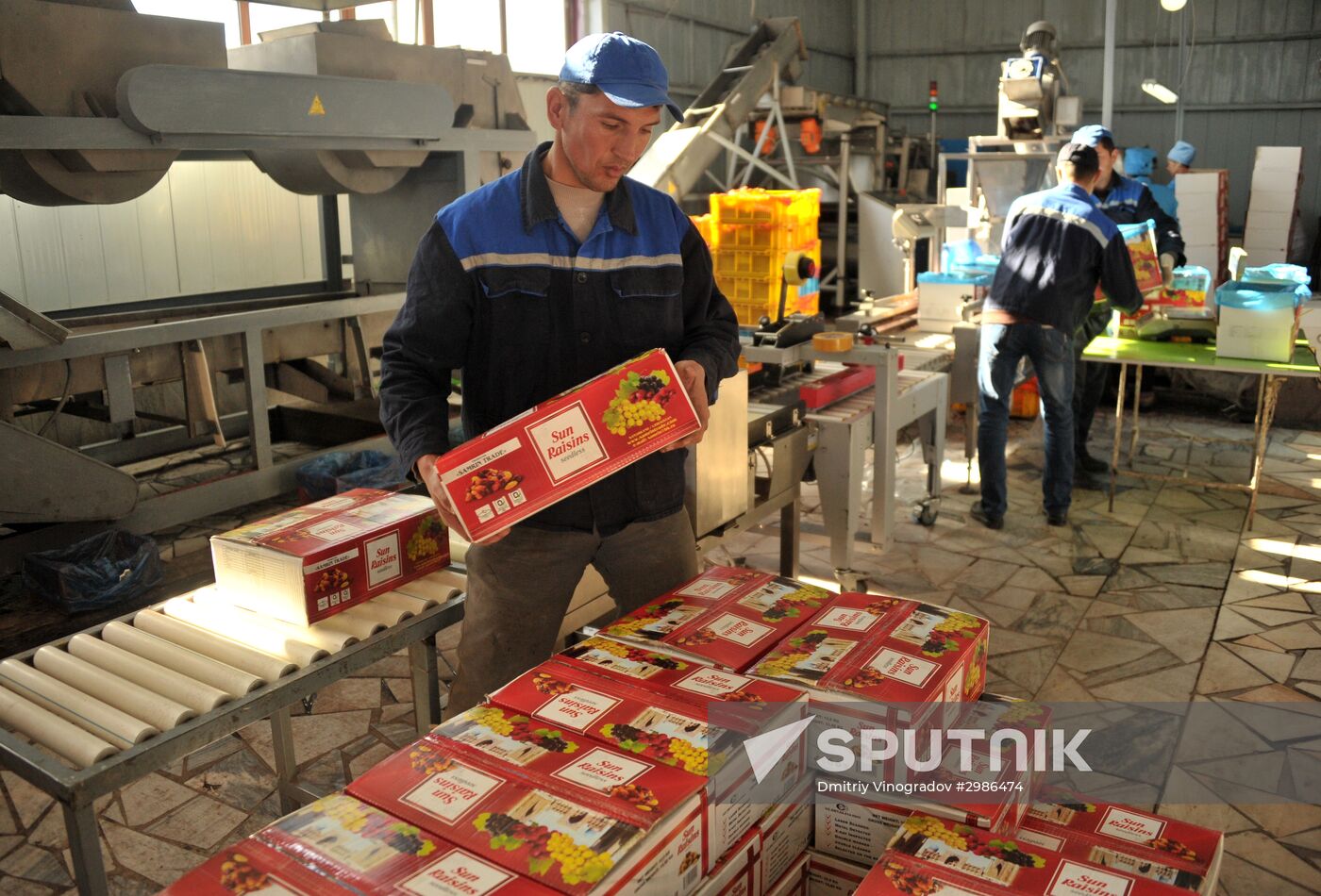 Samrin Trade producing dried fruits in Samarkand