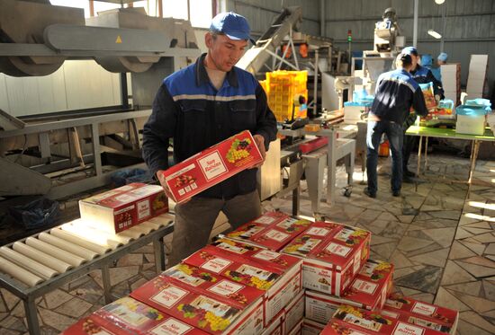 Samrin Trade producing dried fruits in Samarkand