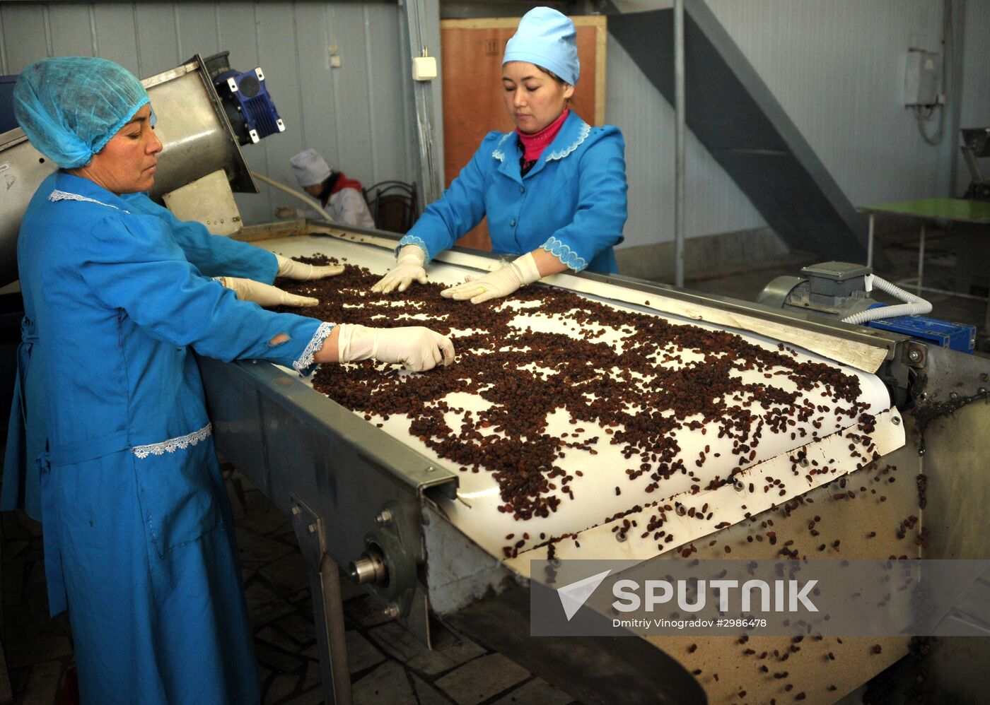 Samrin Trade dried fruit producer in Samarkand