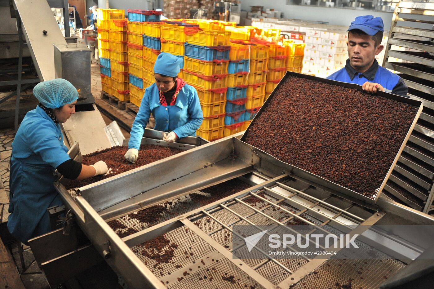 Samrin Trade dried fruit producer in Samarkand