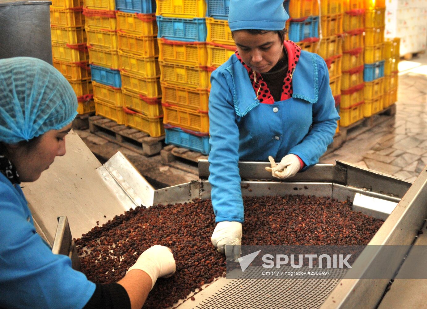 Samrin Trade dried fruit producer in Samarkand