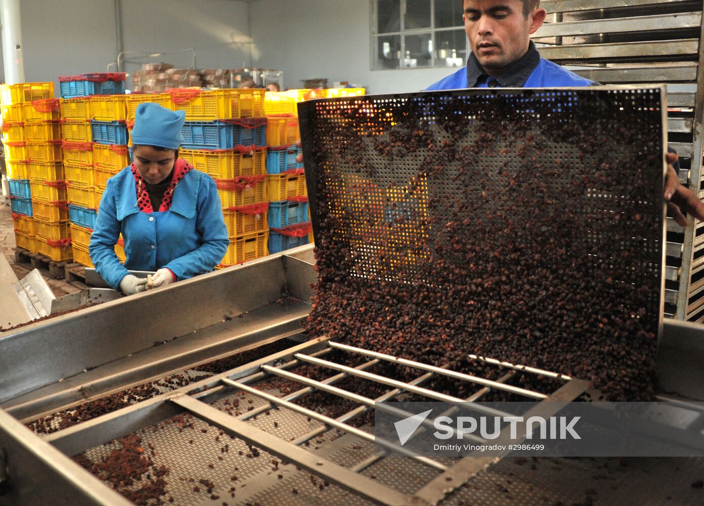 Samrin Trade dried fruit producer in Samarkand