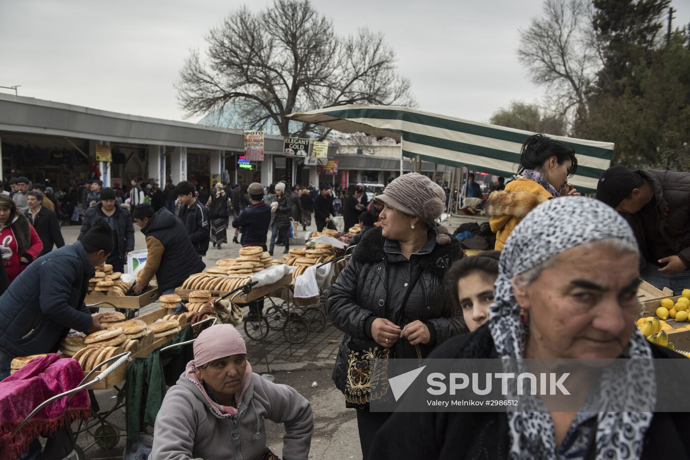 Cities of the world. Tashkent