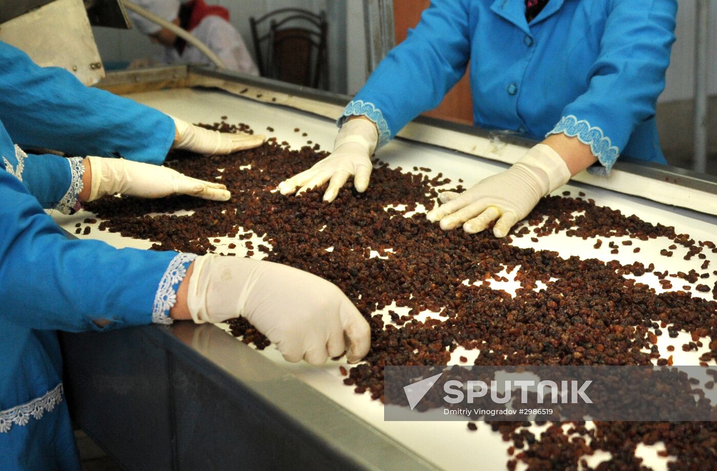 Samrin Trade dried fruit producer in Samarkand