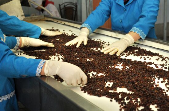 Samrin Trade dried fruit producer in Samarkand