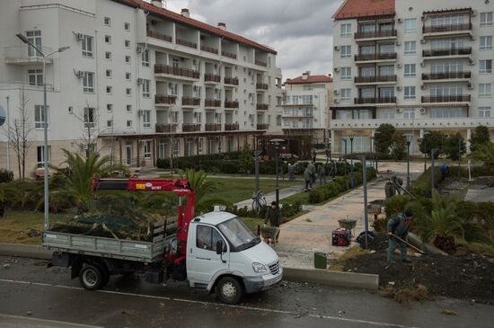 Aftermath of a storm in Sochi