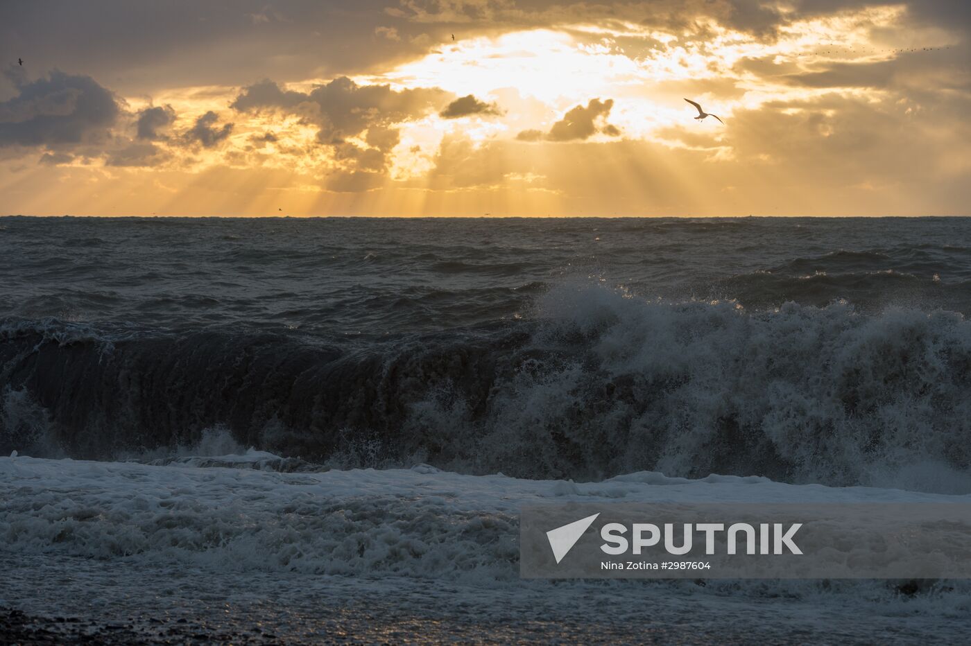 Aftermath of a storm in Sochi