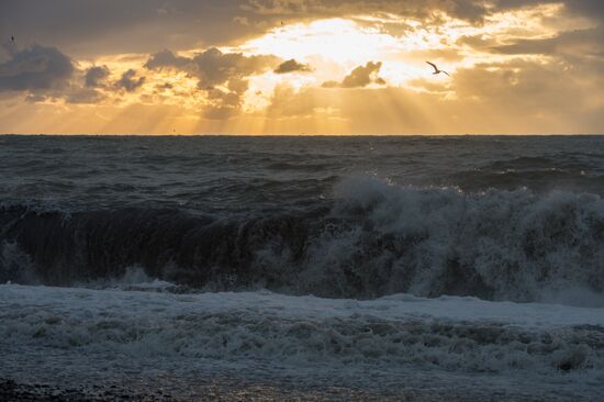Aftermath of a storm in Sochi