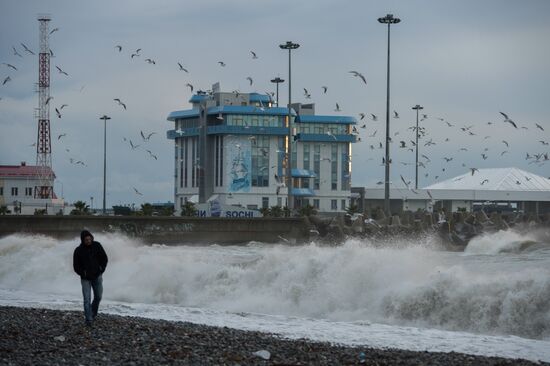 Aftermath of a storm in Sochi