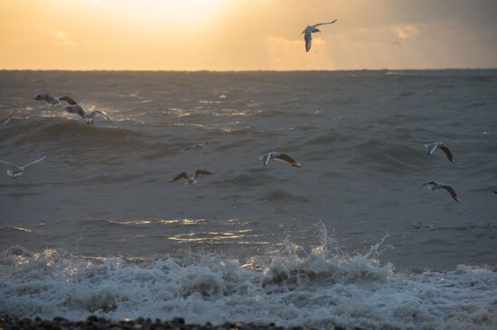 Aftermath of a storm in Sochi