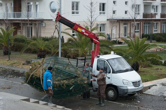 Aftermath of a storm in Sochi